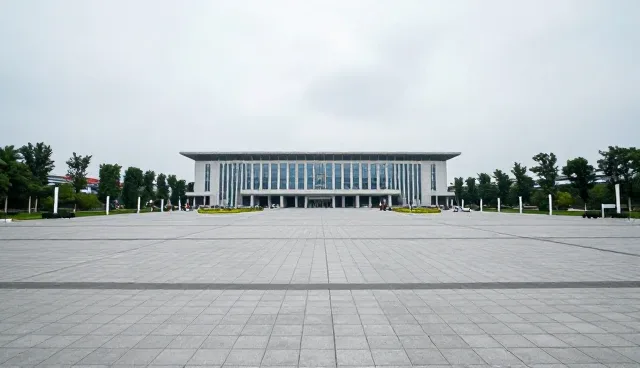 高端服务中的优化策略选择依据与适用条件
